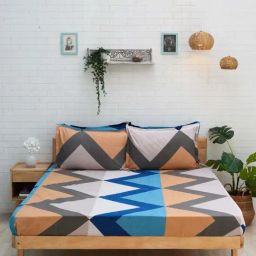 Ariana Multicolor Microfibre 140 TC King Bedsheet with 2 Pillow Covers-image-65