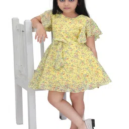 BARKAT DESIGNING PLANET Floral Print Chiffon Fit & Flare Dress-14
