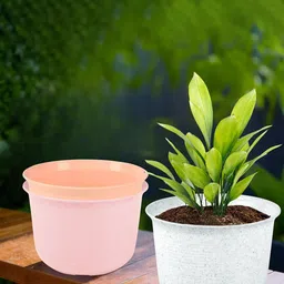 Kuber Industries 3Pcs White & Pink Textured Planters With Plate-45