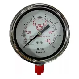 Bellestone 2.5 Inch 0-600 PSI Stainless Steel Pressure Gauge-21