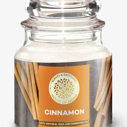 House of Aroma Cinnamon Bell Jar Candle - 100 g-18