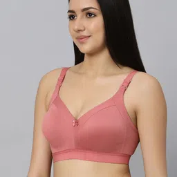 Bluenixie Pack Of 2 Full Coverage Solid Bra image 2