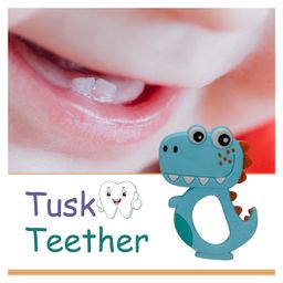Adore Tusk! The Silicon Teethers- Dino image 3