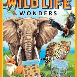 Dreamland Wildlife Wonders Activity Book Learning & Development Toys-image-43