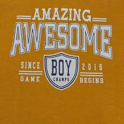 Here&Now X Game Begins Boys Set of 3 Assorted Printed T-shirts image 3