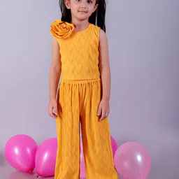 LIL DRAMA Girls Self Design Sleeveless Top With Palazzos-image-26