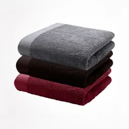 HOME PLUS STUDIOS Red & Grey 3 Cotton 650 GSM Bath Towel-78
