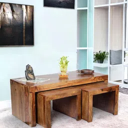 Ikiriya Brown Rectangle Shape Wood Contemporary Coffee Table-10