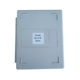 BEXCO Zoology Prepared 25 Microscope Slides Lab Specimens with Box image 2