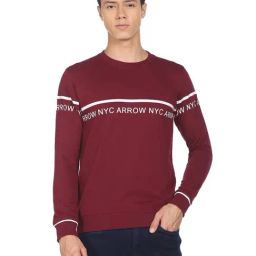 Arrow Sport Maroon & White Cotton Regular Fit Printed Sweatshirt-image-10