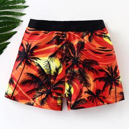 Kookie Kids Swimming Trunk With Sun Set Print - Multicolour-image-28