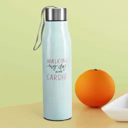 Living Scapes by Pantaloons Aqua Steel Water Bottle (0.75 L)-13