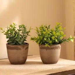 Elemntl Green & Brown 2 Pieces Artificial Potted Plants With Pot-11