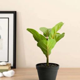 Living Scapes by Pantaloons Green Plastic Artificial Plant Vases-11