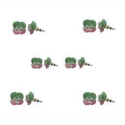 Indianshelf 6-Pcs Green & Pink Rose Flower Printed Ceramic Knobs-16