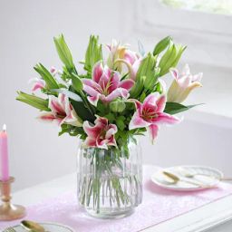 Pink Lily Love-image-2