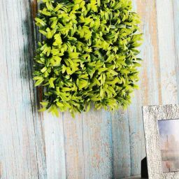 Foliyaj Green Plastic Wall Mat Model-26