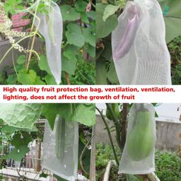 daffodils traders 4"x6"Size-100Pcs Set Garden Plant Against Insect Fruit Protect Drawstring Mesh Net Bag, Fruit Protect Bag with Drawstring, Reusable Nylon Mesh Garden Netting Protection Bag for Plant/Fruit/Flower image 4