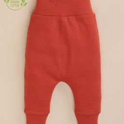 Cot & Candy Organic Cotton Solid Leggings - Berry Red-image-45