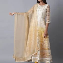 Wishful by W Golden Woven Pattern Dupatta-61