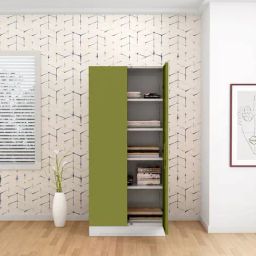 Godrej Interio Slimline Olive Green CRCA Steel 2 Door Almirah, 1 Year Warranty,Olive Green)-picture-38