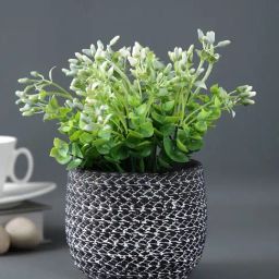 Tayhaa Black Ceramic Planter-image-60