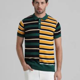 Jack & Jones Multicolored Cotton Regular Fit Striped Polo T-Shirt-image-12