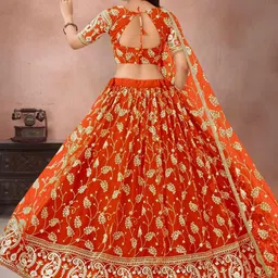 F Plus Fashion Multi Net Lehenga Choli image 4