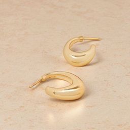 Accessorize Circular Hoop Earrings-image-37