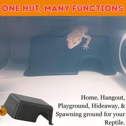 Sage Square Reptile Retreat: Create a Serene Sanctuary for Your Turtle, Reptile Companion with Our Hide Box, Offering a Safe & Tranquil Space for Rest & Relaxation, Providing Comfort (24 Cm) image 5