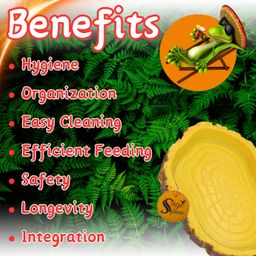 Sage Square Turtle Feeding Dish: Enhance Your Reptile's Mealtime Routine with a Durable & Versatile Food Tray, Serving Nutritious Meals in Style, Dining Experience with Our Artisanal Feeding Dish image 2