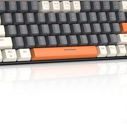 Ninjadog Varna Pro - Premium Mechanical Wireless Keyboard ; Bluetooth and USB Wireless dongle (Included), Multi Device Support for Upto 3 Hosts (Blue (Clicky) Switch) image 1