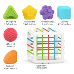 BItFeex Sensory Toys Shape Sorter Baby Blocks Colorful Textured Balls Sorting Games Montessori - Multicolour image 3