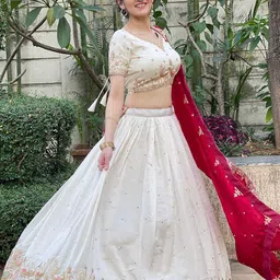 Aika Embroidered Ready to Wear Lehenga & Unstitched Blouse With Dupatta image 3