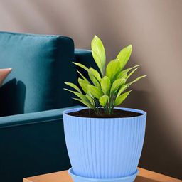 Kuber Industries 4 Pc Blue Durable Plastic Planters-33