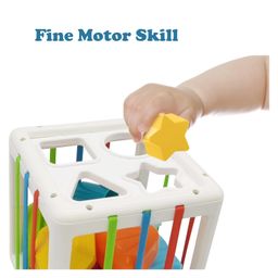 BItFeex Sensory Toys Shape Sorter Baby Blocks Colorful Textured Balls Sorting - Multicolour image 4