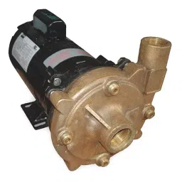 Dayton 1 hp Single Phase Centrifugal Pump, 55JJ68-image-53