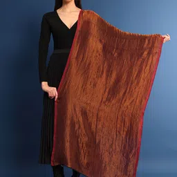 Pashmoda Women Woven Design Shawl-picture-25
