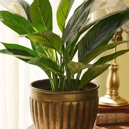 Pure Home and Living Gold-Toned Textured Metal Small Planter-image-34