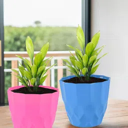 Kuber Industries Pink & Blue 6 Pieces Barfi Textured Planters-42
