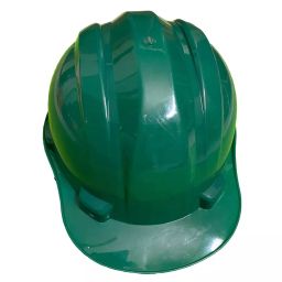Ladwa Safety Director Helmet for Men & Women Green, LSI - DHG - 100 (Pack of 100)-14