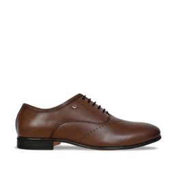 Allen cooper Men's Brown Oxford Shoes-image-65
