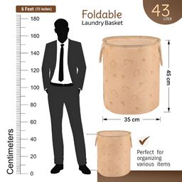 Aura Khaki Set of 2 Regular Multi-Utility Organisers image 4