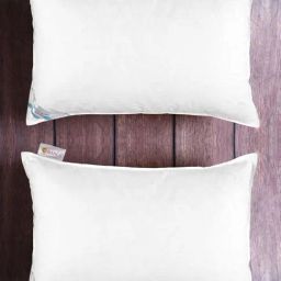 Bianca White Ultra Soft Micro Gel Technology Pillow With Bamboo Cotton Fabric Shell - Set of 2-48