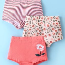 Bodycare Cotton Knit Striped & Floral Printed Hipsters Pack of 3 - Peach & Pink-image-88
