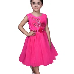 BAESD Net Fit & Flare Dress image 3