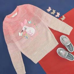 Pantaloons Junior Pink Embroidered Full Sleeves Sweater-image-31