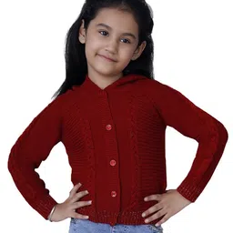 JoE Hazel Full Sleeves Woven Design Detailed Hooded Sweater - Brick Red-picture-29