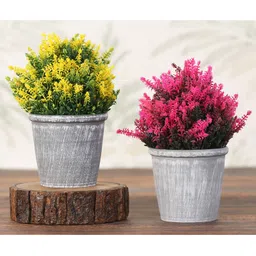 Foliyaj Set Of 2 Yellow And Pink Thick Bushy Plants With Grey Rimmed Pots (Set Of 2)-picture-13