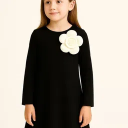 ZIP ZAP ZOOP Girls Solid Applique Round Neck Long Sleeves A-Line Dress-picture-9